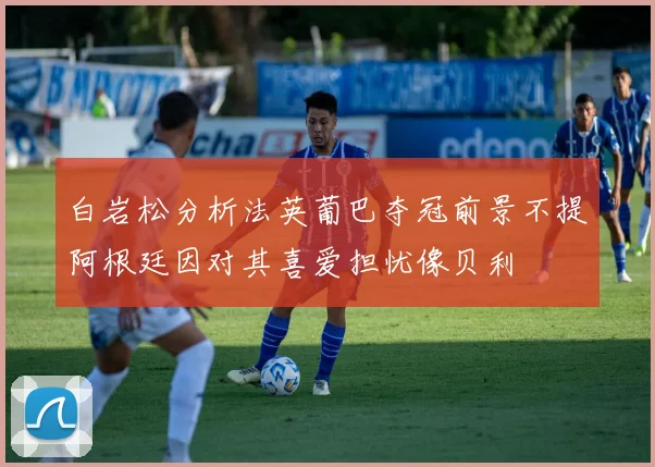 白岩松分析法英葡巴夺冠前景不提阿根廷因对其喜爱担忧像贝利